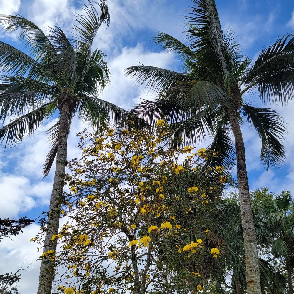 Meet your Posher, Rose